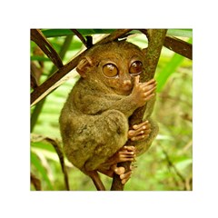 Tarsier Small Satin Scarf (square) 