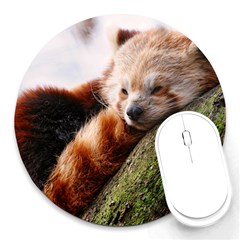 Red Panda Round Mousepads by trendistuff