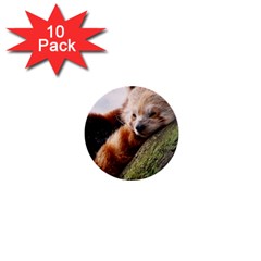 Red Panda 1  Mini Buttons (10 Pack) 