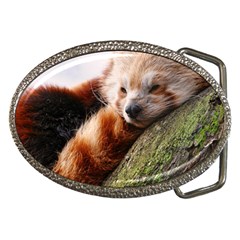 Red Panda Belt Buckles by trendistuff