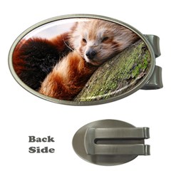 Red Panda Money Clips (oval)  by trendistuff