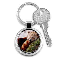 Red Panda Key Chains (round)  by trendistuff