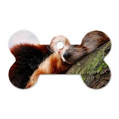 Red Panda Dog Tag Bone (one Side) by trendistuff