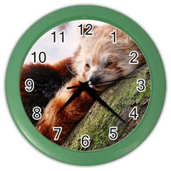 Red Panda Color Wall Clocks by trendistuff