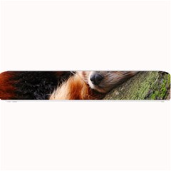 Red Panda Small Bar Mats