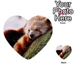 RED PANDA Multi-purpose Cards (Heart)  Back 1