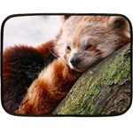 RED PANDA Double Sided Fleece Blanket (Mini)  35 x27  Blanket Front