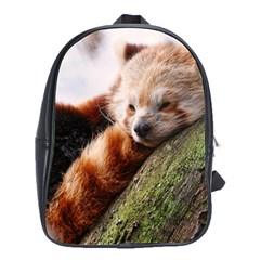 Red Panda School Bags(large)  by trendistuff