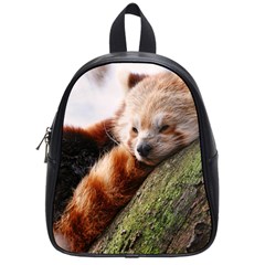 Red Panda School Bags (small)  by trendistuff