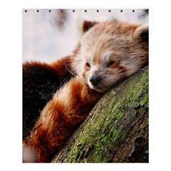 Red Panda Shower Curtain 60  X 72  (medium) 