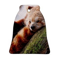 Red Panda Ornament (bell)  by trendistuff