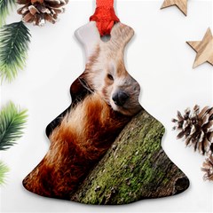 Red Panda Christmas Tree Ornament (2 Sides) by trendistuff