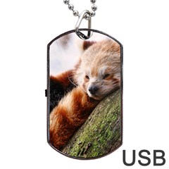 Red Panda Dog Tag Usb Flash (one Side)