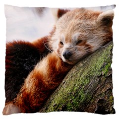 Red Panda Large Cushion Cases (one Side)  by trendistuff