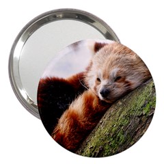 Red Panda 3  Handbag Mirrors by trendistuff