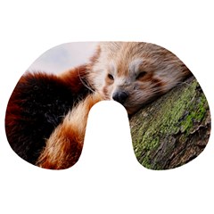 Red Panda Travel Neck Pillows