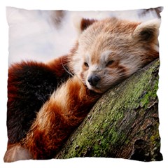 Red Panda Large Flano Cushion Cases (one Side) 