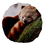 RED PANDA Large 18  Premium Flano Round Cushions Front