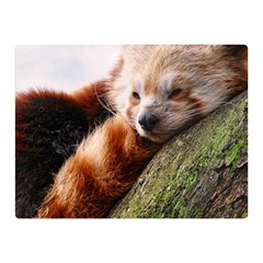 Red Panda Double Sided Flano Blanket (mini) 