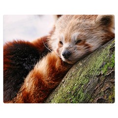 Red Panda Double Sided Flano Blanket (medium)  by trendistuff