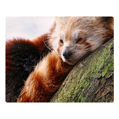 Red Panda Double Sided Flano Blanket (large) 