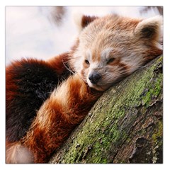 Red Panda Large Satin Scarf (square)