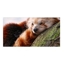 Red Panda Satin Shawl by trendistuff