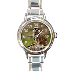 Meerkat Round Italian Charm Watches by trendistuff