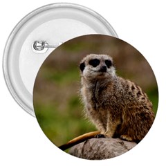 Meerkat 3  Buttons