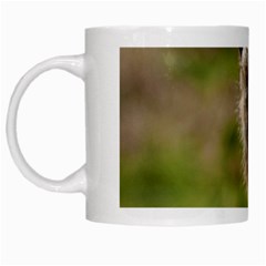 Meerkat White Mugs by trendistuff