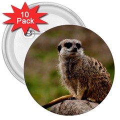 Meerkat 3  Buttons (10 Pack)  by trendistuff