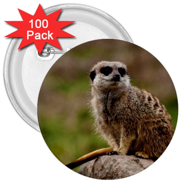 MEERKAT 3  Buttons (100 pack) 