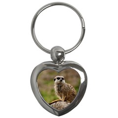 Meerkat Key Chains (heart)  by trendistuff