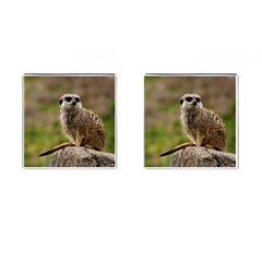 Meerkat Cufflinks (square) by trendistuff