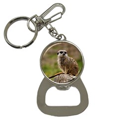 Meerkat Bottle Opener Key Chains by trendistuff