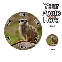 Meerkat Playing Cards 54 (round)  by trendistuff