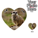 MEERKAT Playing Cards 54 (Heart)  Front - Spade4