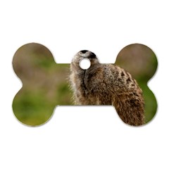 Meerkat Dog Tag Bone (two Sides)