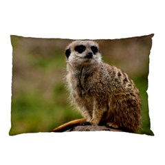 Meerkat Pillow Cases