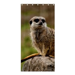 Meerkat Shower Curtain 36  X 72  (stall) 