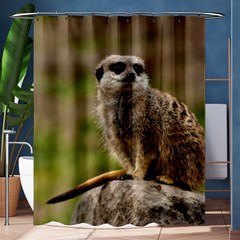 Meerkat Shower Curtain 60  X 72  (medium) 