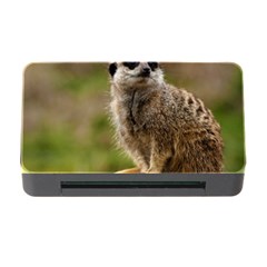 Meerkat Memory Card Reader With Cf