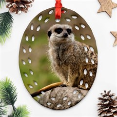 Meerkat Oval Filigree Ornament (2-side)  by trendistuff