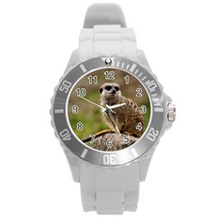 Meerkat Round Plastic Sport Watch (l)