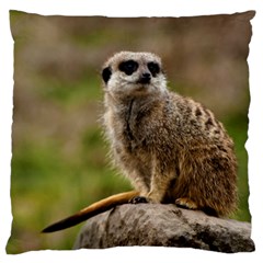 Meerkat Large Cushion Cases (one Side)  by trendistuff