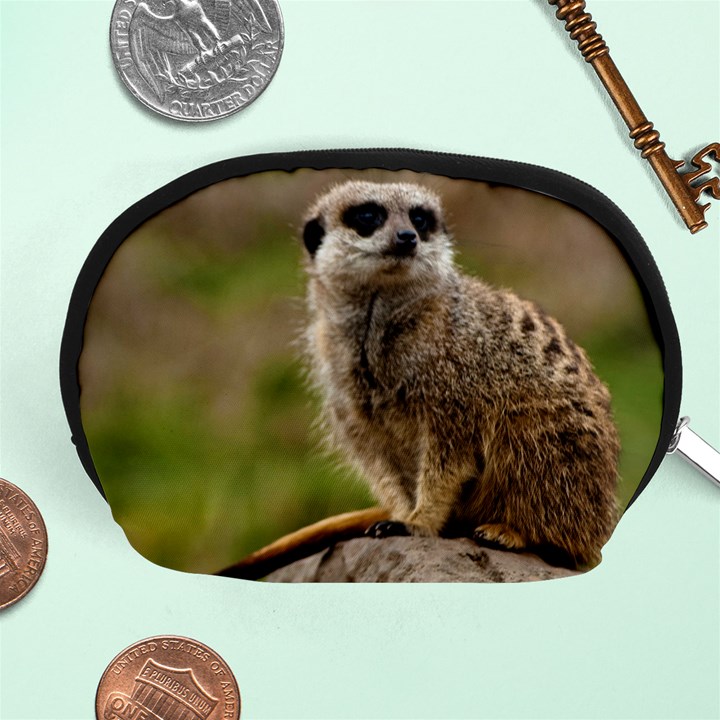 MEERKAT Accessory Pouches (Medium) 