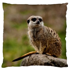 Meerkat Large Flano Cushion Cases (one Side) 