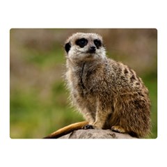 Meerkat Double Sided Flano Blanket (mini) 