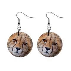 Leopard Laying Down Mini Button Earrings by trendistuff