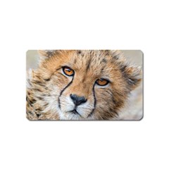 Leopard Laying Down Magnet (name Card) by trendistuff